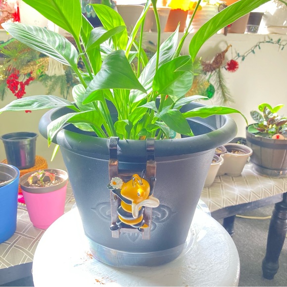 Plant pot hugger - Picture 2 of 12